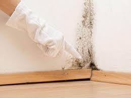 Trusted Kings Mills, OH Mold Prevention & Removal  Experts